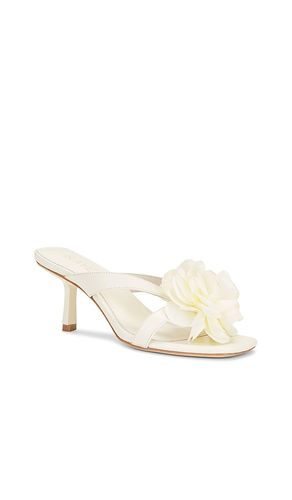 Flor Heel in . Size 6.5. Also in 7, 7.5, 8, 8.5, 9, 9.5, 10 - RAYE - Modalova