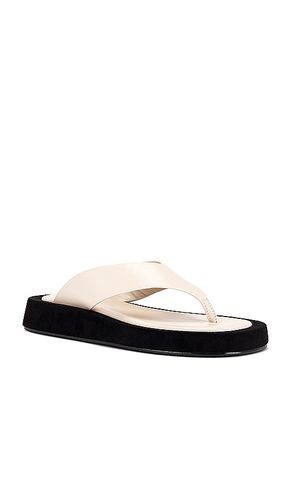 Chris Sandal in . Size 6. Also in 5, 8, 9 - RAYE - Modalova