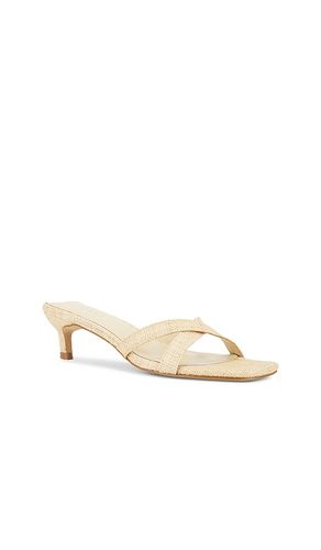 Shea Sandal in . Size 6. Also in 7, 8.5 - RAYE - Modalova
