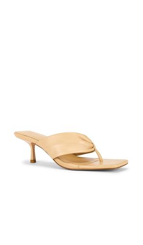 Ivanova Sandal in . Size 5. Also in 6, 7 - RAYE - Modalova