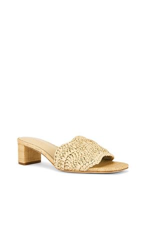 Rajesh Sandal in . Size 6.5. Also in 7.5, 8 - RAYE - Modalova