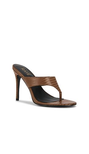 Marella Sandal in . Size 6. Also in 8, 9.5 - RAYE - Modalova