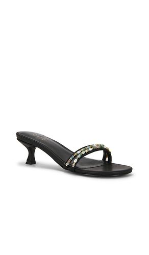 Danae Sandal in . Size 5.5. Also in 6, 6.5, 7, 7.5, 8, 8.5, 9 - RAYE - Modalova