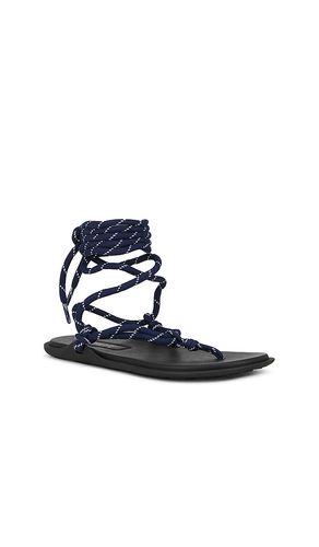 Lillie Sandal in . Size 6. Also in 7 - RAYE - Modalova
