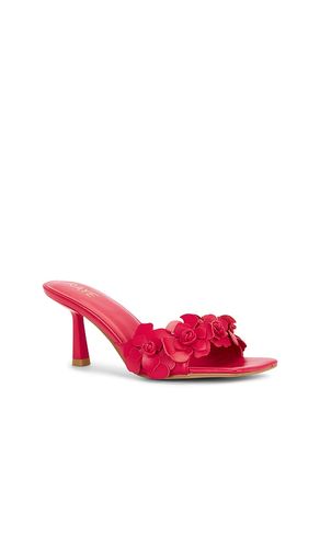 Hana Sandal in . Size 5.5. Also in 7.5 - RAYE - Modalova