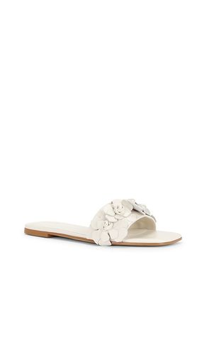 Iris Flat in . Size 6. Also in 7, 8.5 - RAYE - Modalova