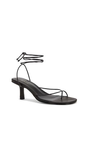 Nayara Sandal in . Size 6. Also in 6.5 - RAYE - Modalova