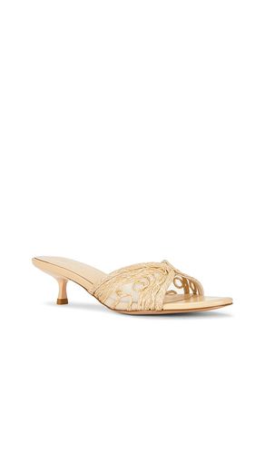Aylin Sandal in . Size 5.5. Also in 6, 6.5, 7.5, 8, 8.5, 9, 9.5, 10 - RAYE - Modalova