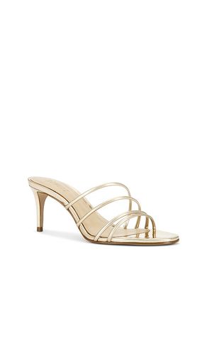 Inez Mule in . Size 7. Also in 7.5, 8, 9, 9.5 - Schutz - Modalova