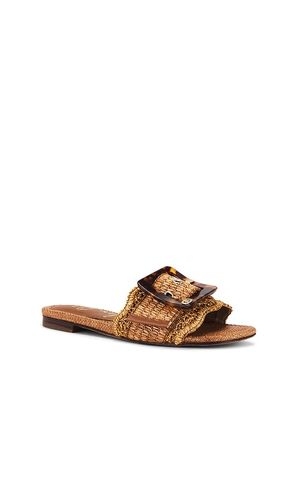 Bambi Sandal in . Size 5. Also in 5.5, 6, 6.5, 7, 7.5, 8, 8.5, 9 - Sam Edelman - Modalova