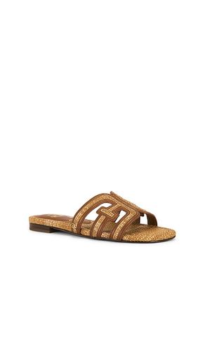 Bay Multi Sandal in . Size 6.5. Also in 5.5 - Sam Edelman - Modalova