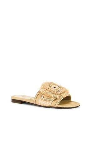 Bambi Playa Sandal in . Size 10.5. Also in 6, 6.5, 7, 7.5, 8, 8.5, 9, 9.5 - Sam Edelman - Modalova