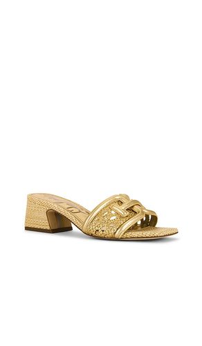 Waylon Weave Sandal in . Size 6. Also in 6.5, 7, 7.5, 8, 8.5, 10 - Sam Edelman - Modalova