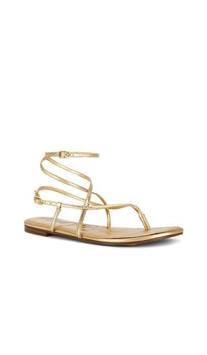 Clarra Sandal in . Size 6. Also in 6.5, 7.5, 8.5, 9, 9.5 - Sam Edelman - Modalova