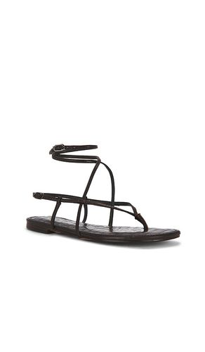 Clarra Sandal in . Size 10. Also in 6, 6.5, 7, 7.5, 8, 8.5, 9, 9.5 - Sam Edelman - Modalova