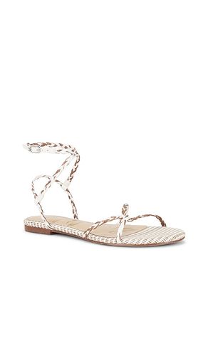 Ellina Braid Sandal in ,. Size 6. Also in 6.5, 7, 7.5, 8, 8.5, 9, 9.5 - Sam Edelman - Modalova