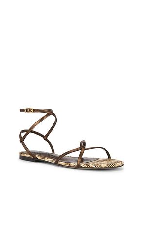 Ellina Sandal in , . Size 6. Also in 6.5, 7, 7.5, 8, 8.5 - Sam Edelman - Modalova