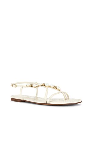 Calla 2 Sandal in . Size 6. Also in 7, 7.5, 8, 8.5, 9, 9.5 - Sam Edelman - Modalova
