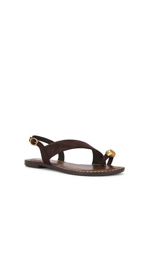 Grace Sandal in . Size 6. Also in 6.5, 7, 7.5, 8, 8.5, 9, 9.5, 10 - Sam Edelman - Modalova