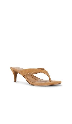 Amie Sandal in . Size 6. Also in 6.5, 9.5 - Sam Edelman - Modalova