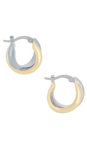 SHASHI Ross Hoop Earrings in Multi - SHASHI - Modalova