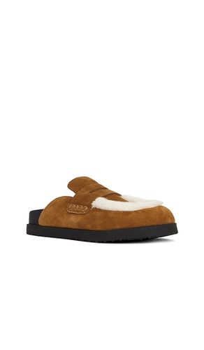 Tomlin Clog in . Size 6. Also in 7, 8 - Steve Madden - Modalova