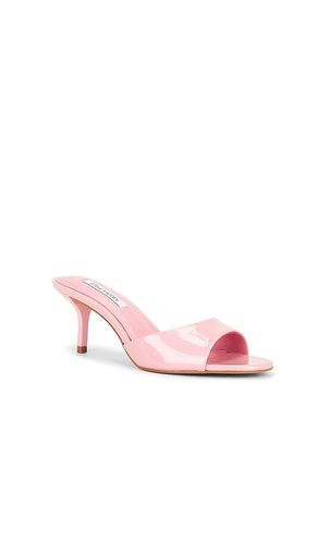 Kendrix Sandal in . Size 6. Also in 6.5, 7.5, 8, 8.5, 9.5 - Steve Madden - Modalova