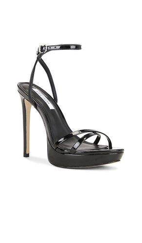 Juni Sandal in . Size 7.5. Also in 8, 8.5, 9, 9.5 - Steve Madden - Modalova