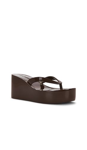 Jella Sandal in . Size 8. Also in 9 - Steve Madden - Modalova