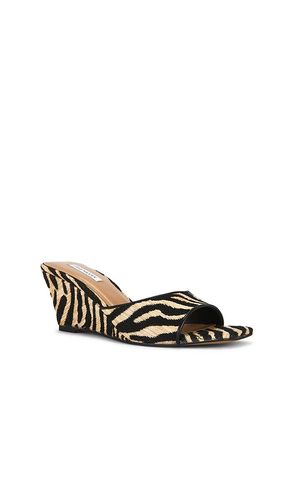 Seleste Sandal in ,. Size 5.5. Also in 6, 8.5 - Steve Madden - Modalova
