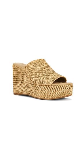 Cassi Sandal in . Size 8.5. Also in 9.5, 10 - Steve Madden - Modalova