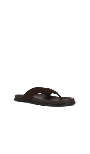 Loop Flip Flop in . Size 37. Also in 41 - Tony Bianco - Modalova