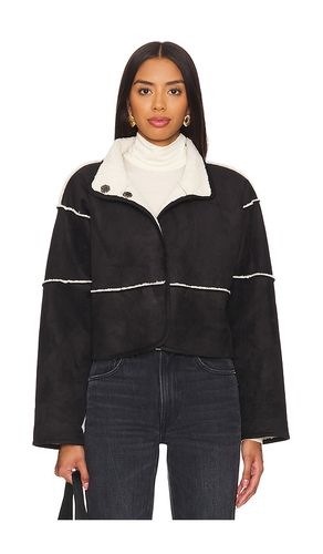 Kelly Reversible Sherpa Jacket in . Size M, S, XL, XS - Velvet by Graham & Spencer - Modalova