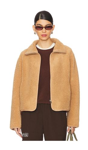 Reba Sherpa Jacket in . Taglia M, S, XL - Velvet by Graham & Spencer - Modalova