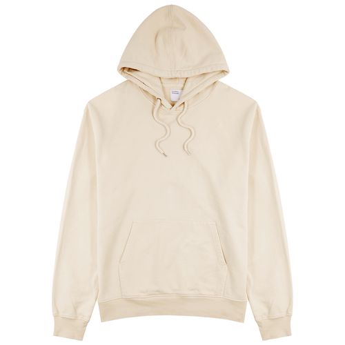 Hooded Cotton Sweatshirt - - S - COLORFUL STANDARD - Modalova