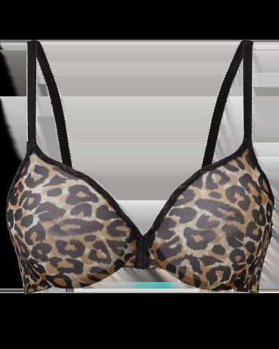 Womens Glossies Leopard Sheer Moulded Bra - - 32FF - NastyGal UK (+IE) - Modalova