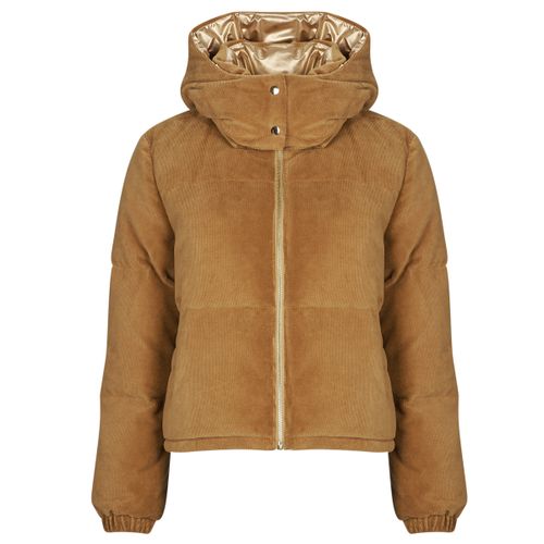 Doudounes Les Petites Bombes MADEL - Les Petites Bombes - Modalova