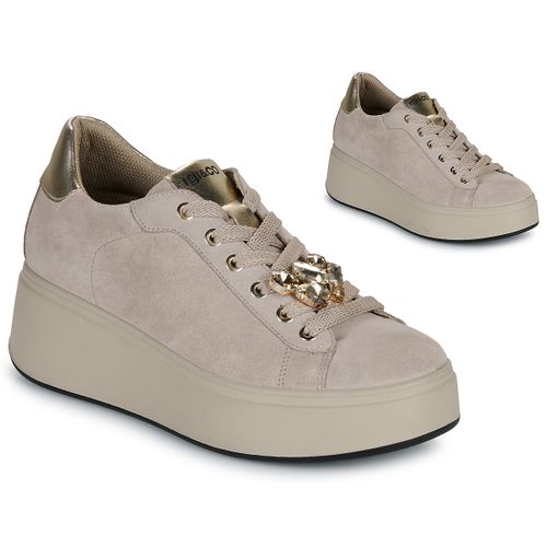 Baskets basses IgI&CO D.ALLY - IgI&CO - Modalova