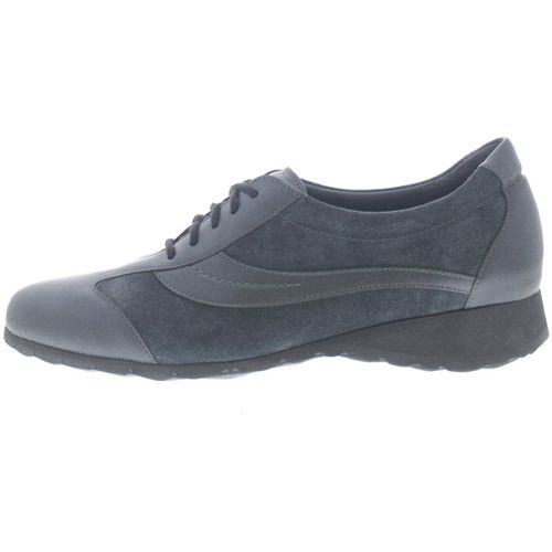 Baskets Schneider 14528 - Schneider - Modalova