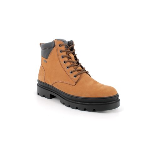 Bottes IgI&CO 6622144 - IgI&CO - Modalova