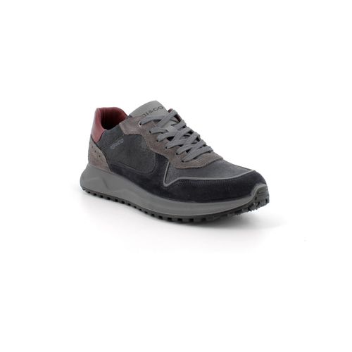 Baskets IgI&CO 6638500 - IgI&CO - Modalova