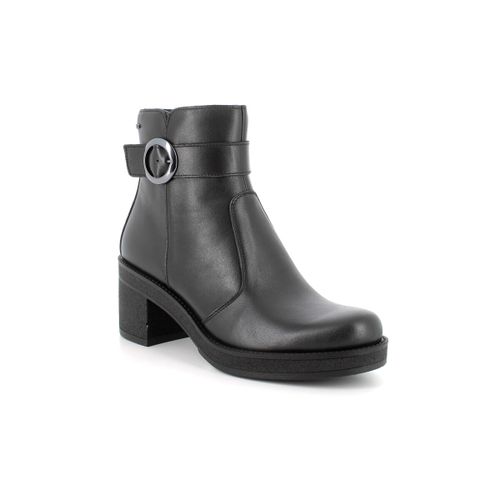 Bottines IgI&CO 6660300 - IgI&CO - Modalova