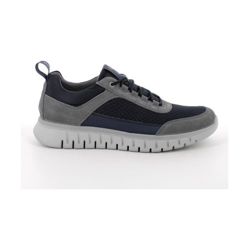 Baskets IgI&CO 7617011 - IgI&CO - Modalova