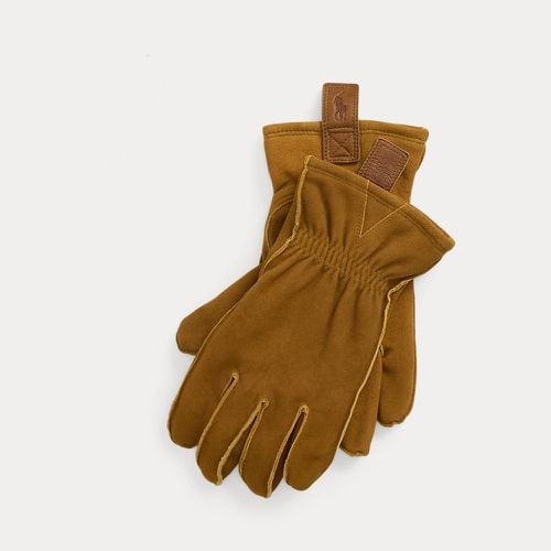 Suede Utility Gloves - Polo Ralph Lauren - Modalova