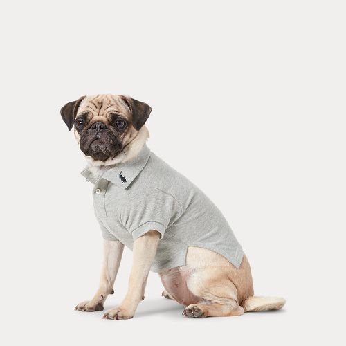 Cotton Mesh Dog Polo Shirt - Polo Ralph Lauren - Modalova