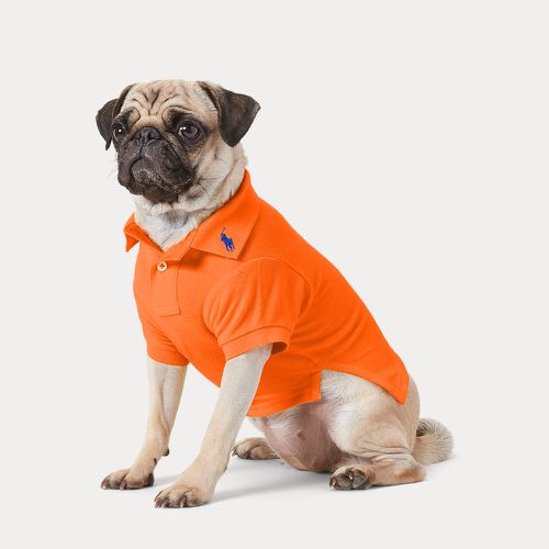 Cotton Mesh Dog Polo Shirt - Polo Ralph Lauren - Modalova