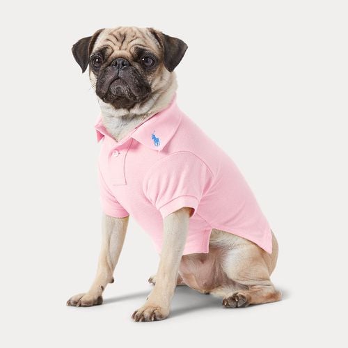 Cotton Mesh Dog Polo Shirt - Polo Ralph Lauren - Modalova