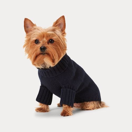 Polo Bear Wool-Cashmere Dog Jumper - Polo Ralph Lauren - Modalova