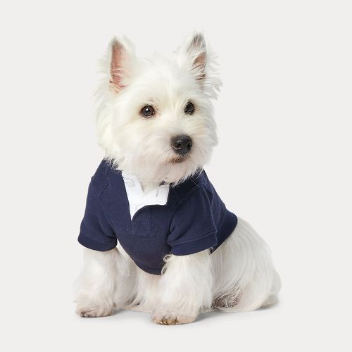 Polo Bear Fleece Dog Hoodie - Polo Ralph Lauren - Modalova