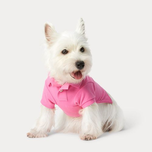 Polo Bear Cotton Mesh Dog Polo Shirt - Polo Ralph Lauren - Modalova